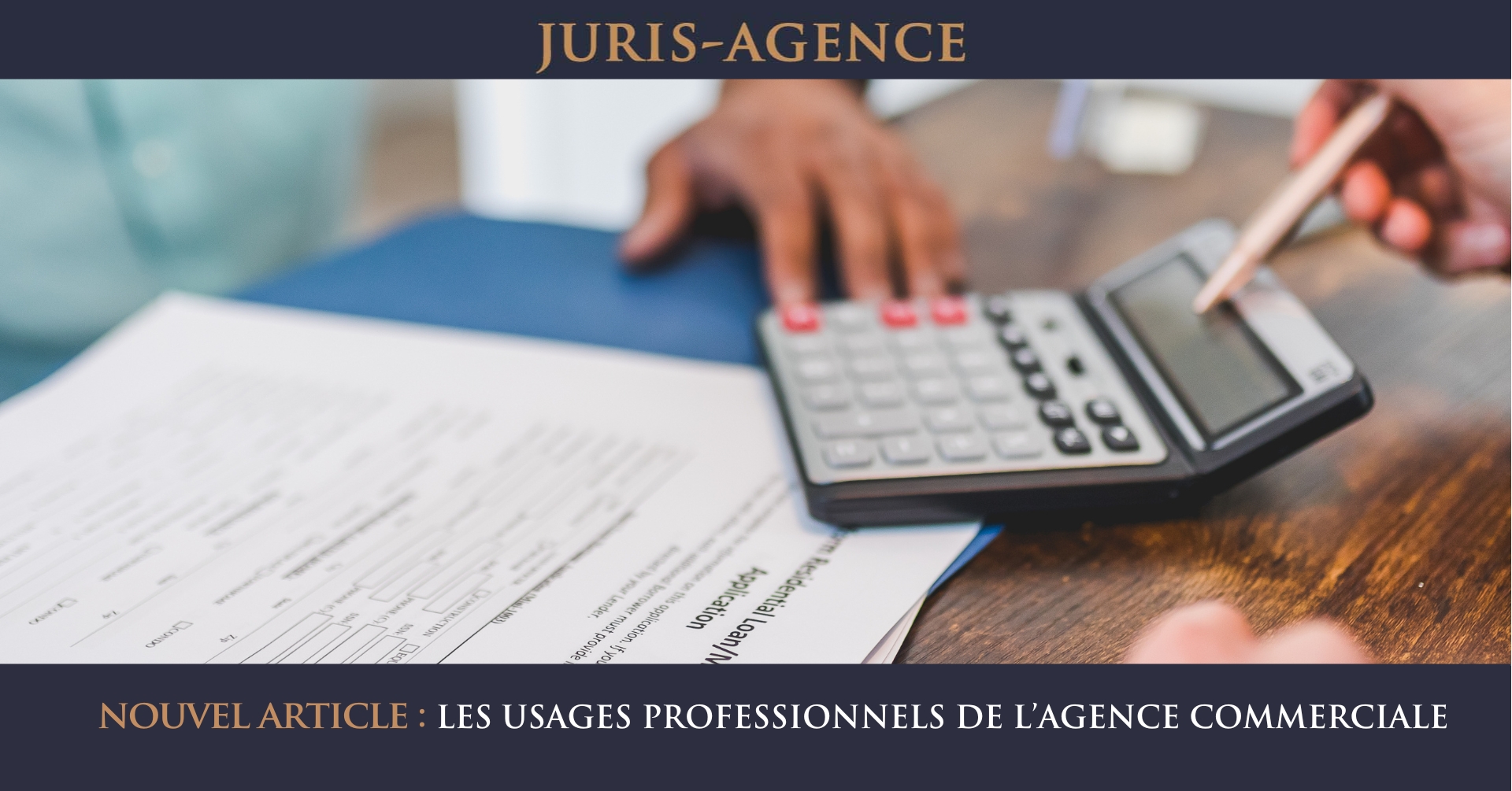 LES USAGES PROFESSIONNELS DE L’AGENCE COMMERCIALE